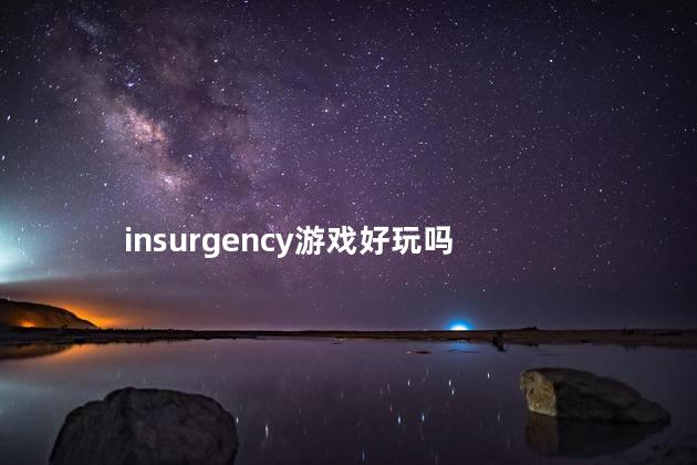 insurgency游戏好玩吗