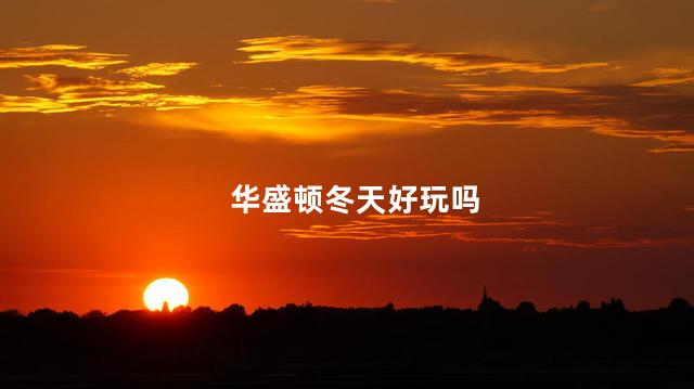华盛顿冬天好玩吗