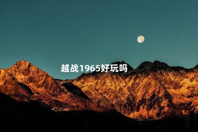 越战1965好玩吗