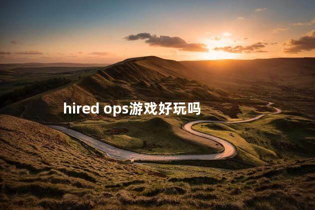 hired ops游戏好玩吗