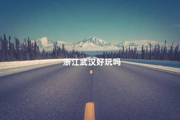 浙江武汉好玩吗