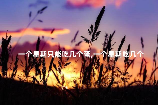 一个星期只能吃几个蛋，一个星期吃几个蛋比较好