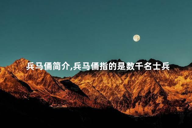 兵马俑简介，兵马俑指的是数千名士兵