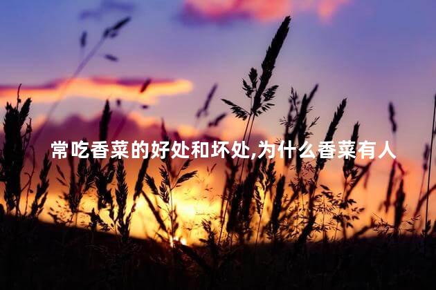 常吃香菜的好处和坏处，为什么香菜有人爱有人讨厌