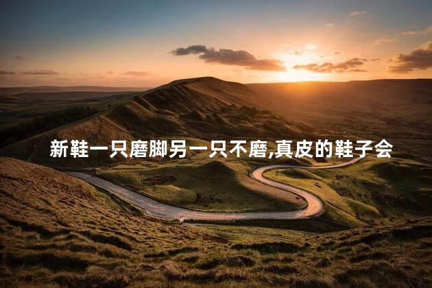 新鞋一只磨脚另一只不磨，真皮的鞋子会磨脚吗