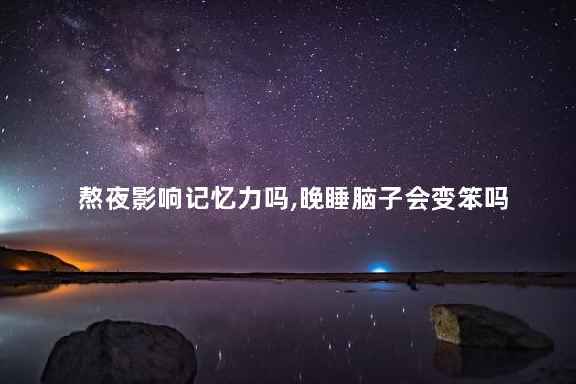 熬夜影响记忆力吗，晚睡脑子会变笨吗