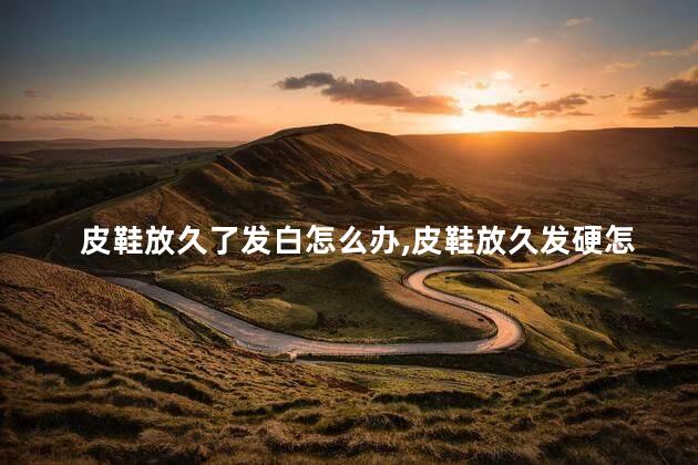 皮鞋放久了发白怎么办，皮鞋放久发硬怎么处理