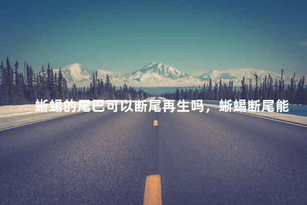 蜥蜴的尾巴可以断尾再生吗，蜥蜴断尾能再生几次